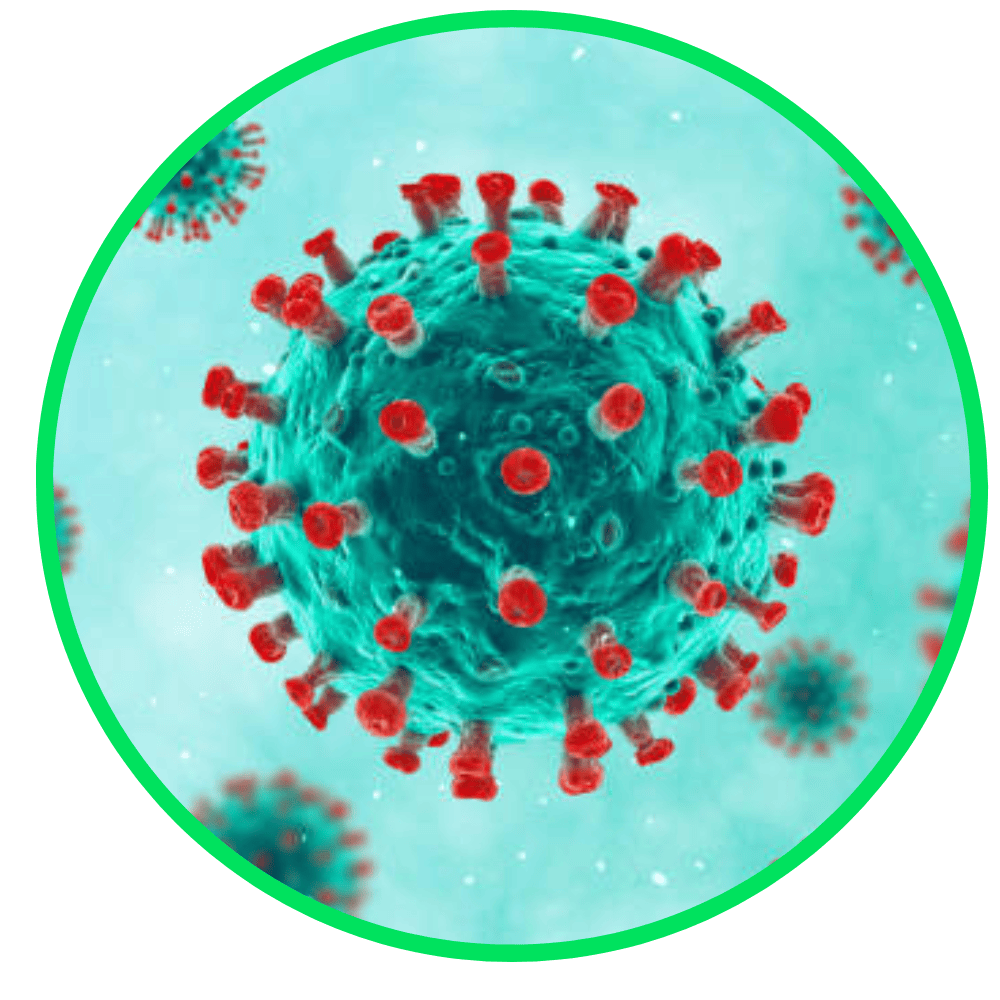 logo-herpes-genital-laman-depan