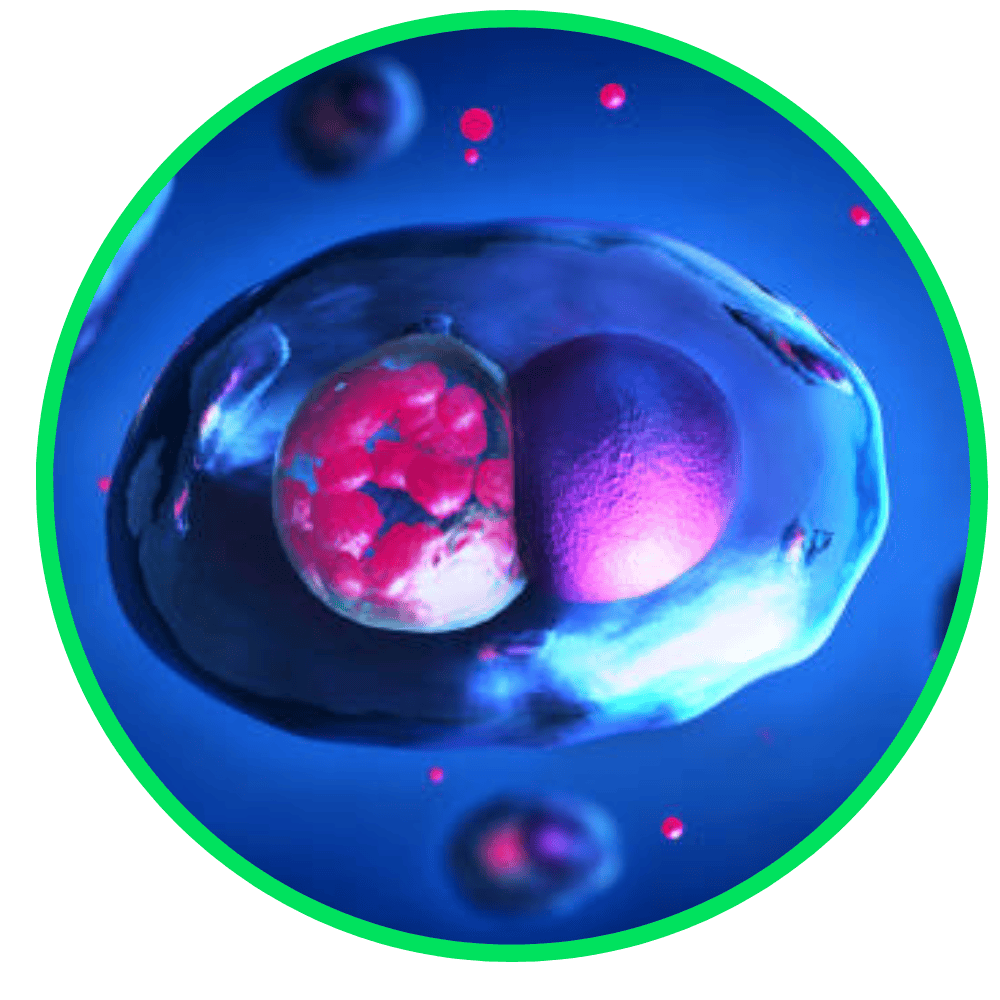 logo-klamidia-laman-depan