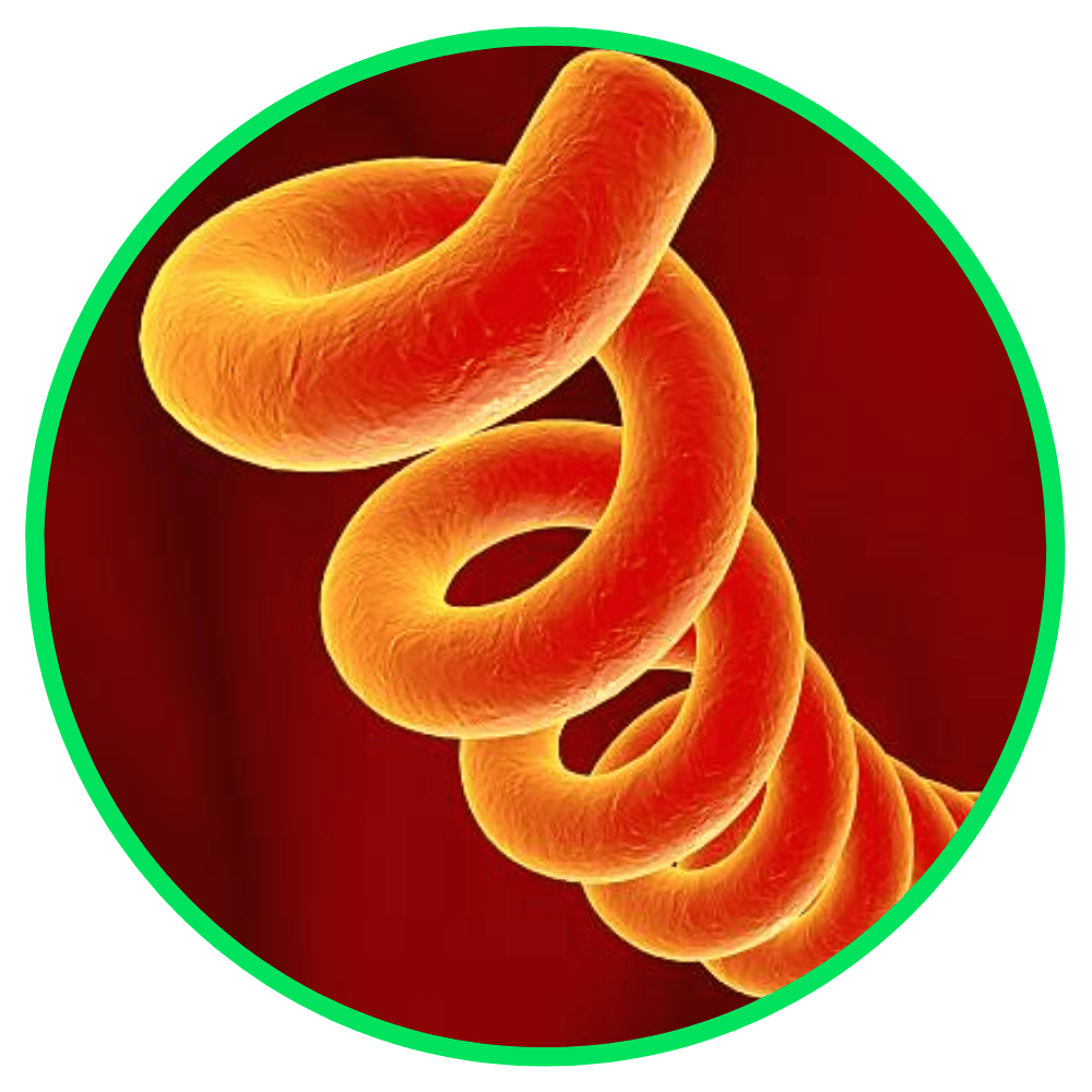 logo-sifilis-laman-depan