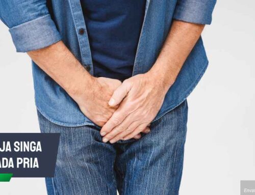 Bahaya Raja Singa pada Pria Jika Tidak Segera Diobati