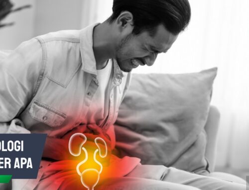 Sering Keliru! Urologi Dokter Apa & Bedanya dengan Spesialis Lain