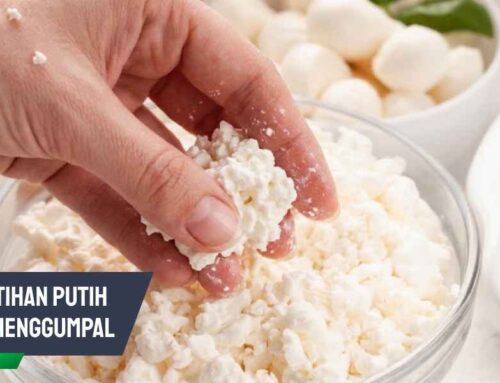 Keputihan Putih Susu Menggumpal: Penyebab dan Cara Mengatasi