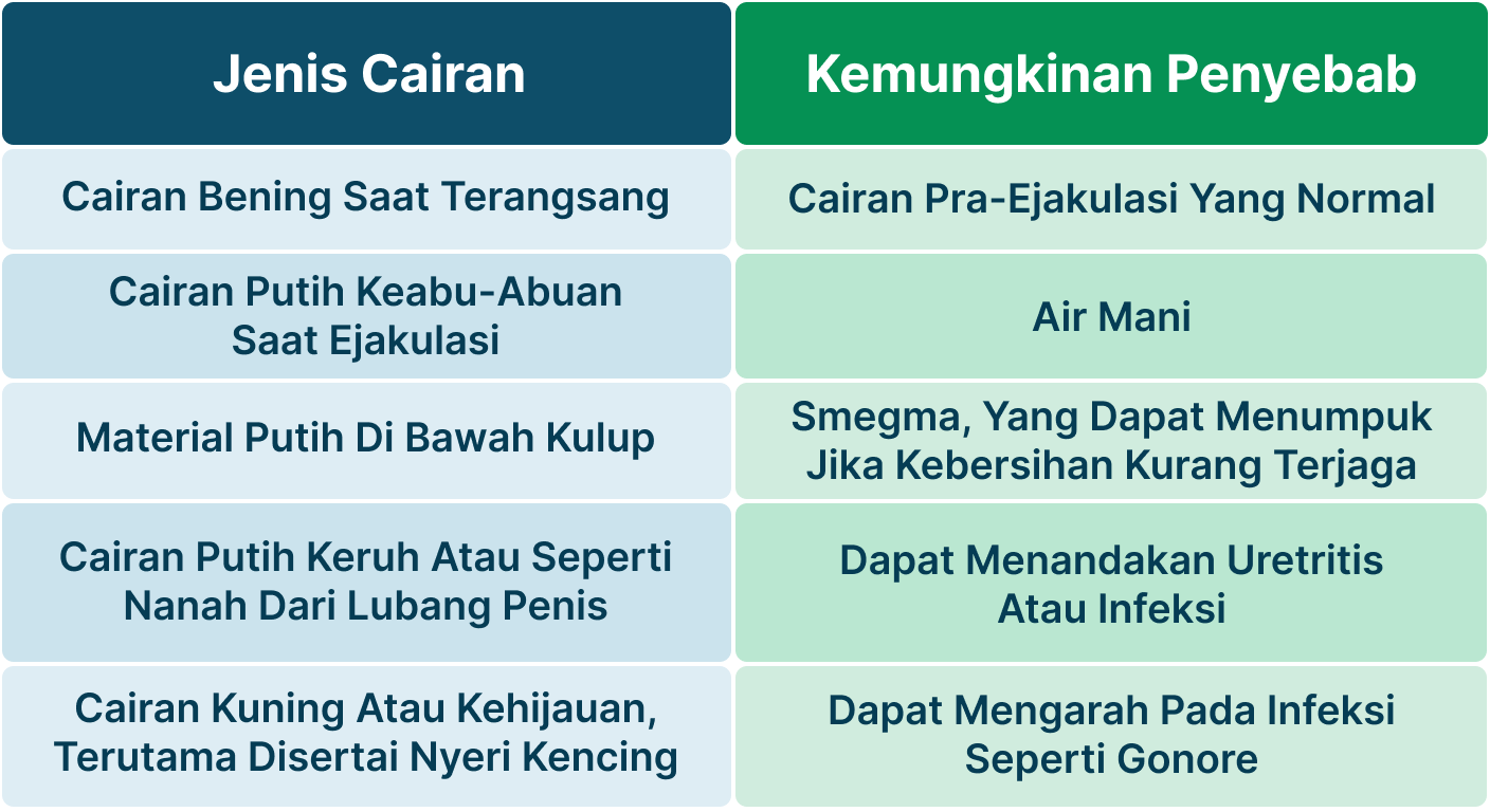 Ilustrasi Keputihan Laki-laki.