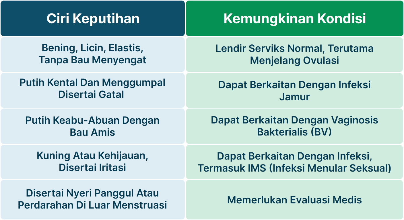 Ilustrasi Keputihan Seperti Jelly.